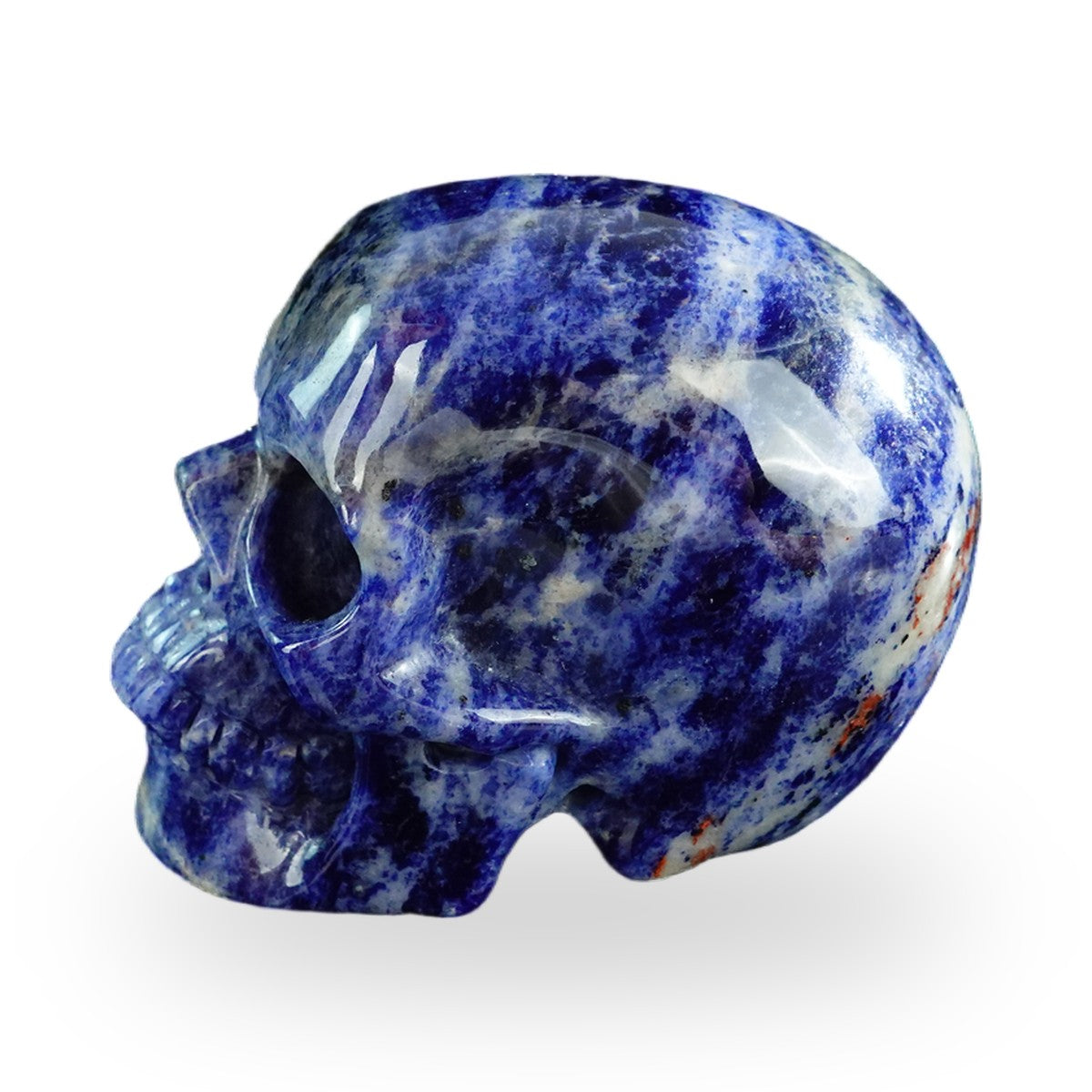 Sodalite crystal skull 3" SKH30SL10 photo 5