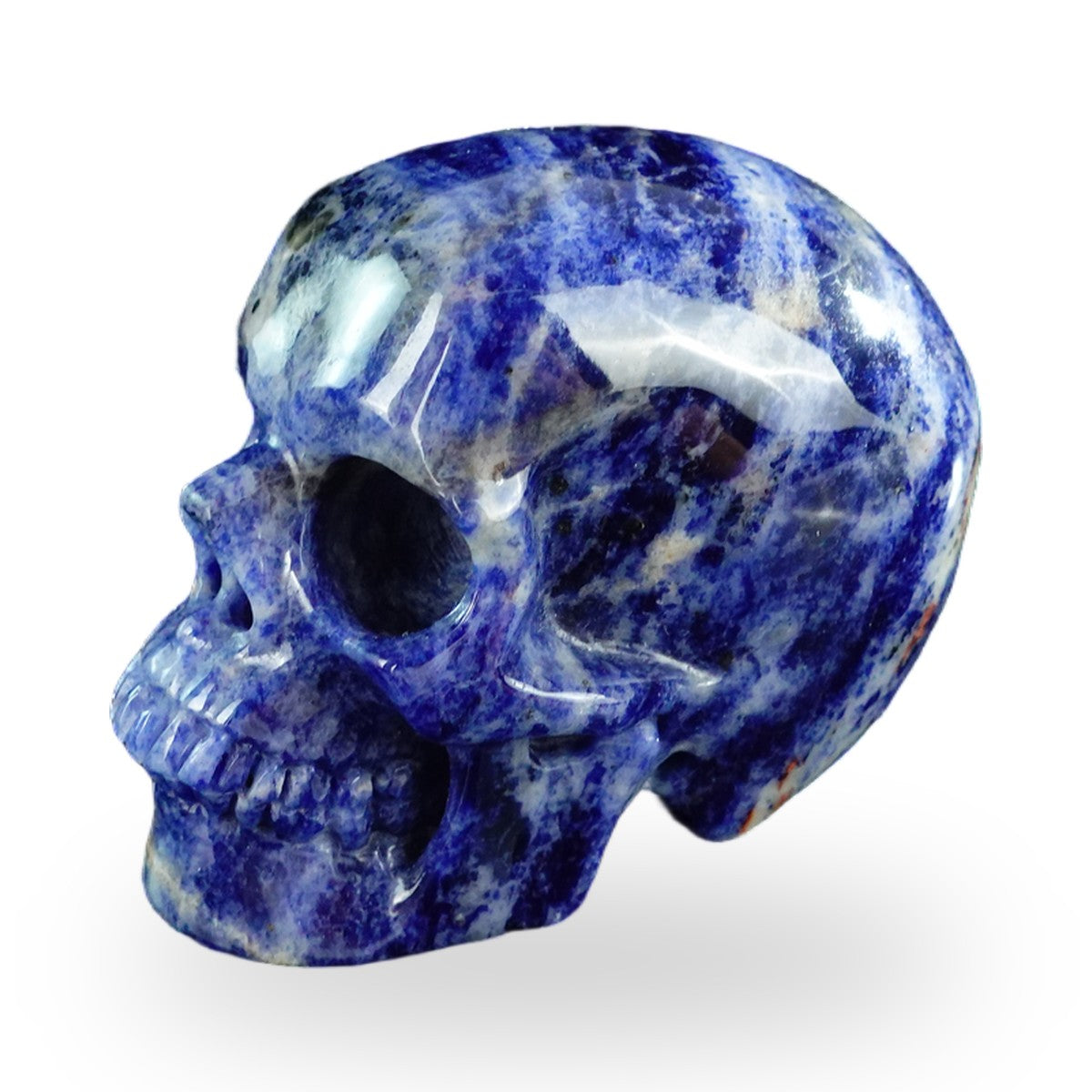 Sodalite crystal skull 3" SKH30SL10 photo 6