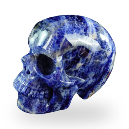 Sodalite crystal skull 3" SKH30SL10 photo 6