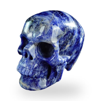 Sodalite crystal skull 3" SKH30SL10 photo 7