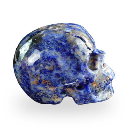 Sodalite crystal skull 3" SKH30SL11 photo 5