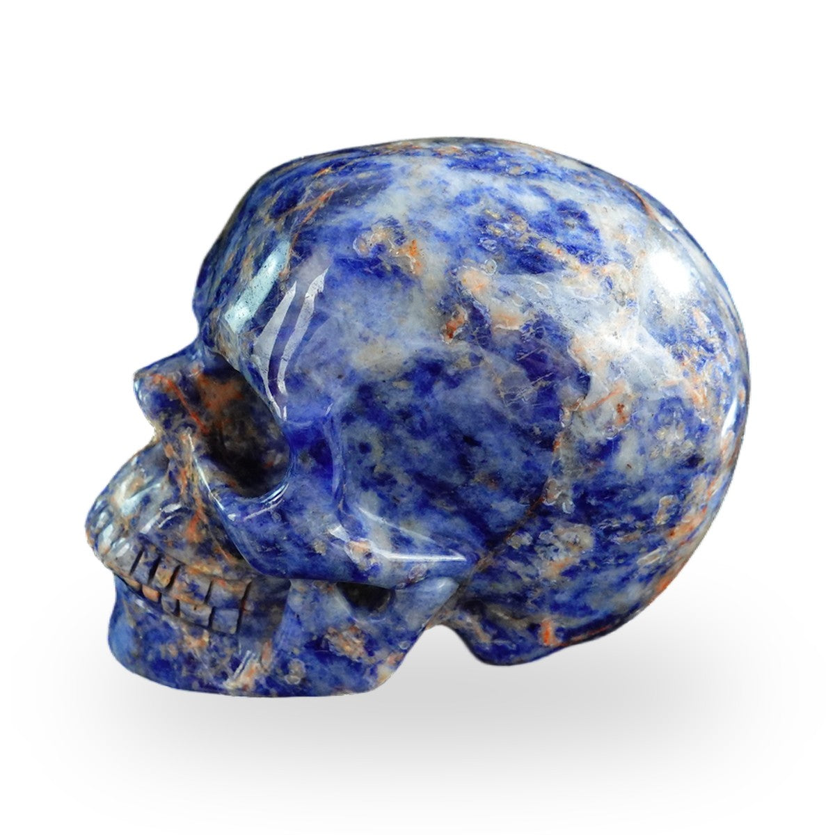 Sodalite crystal skull 3" SKH30SL11 photo 6