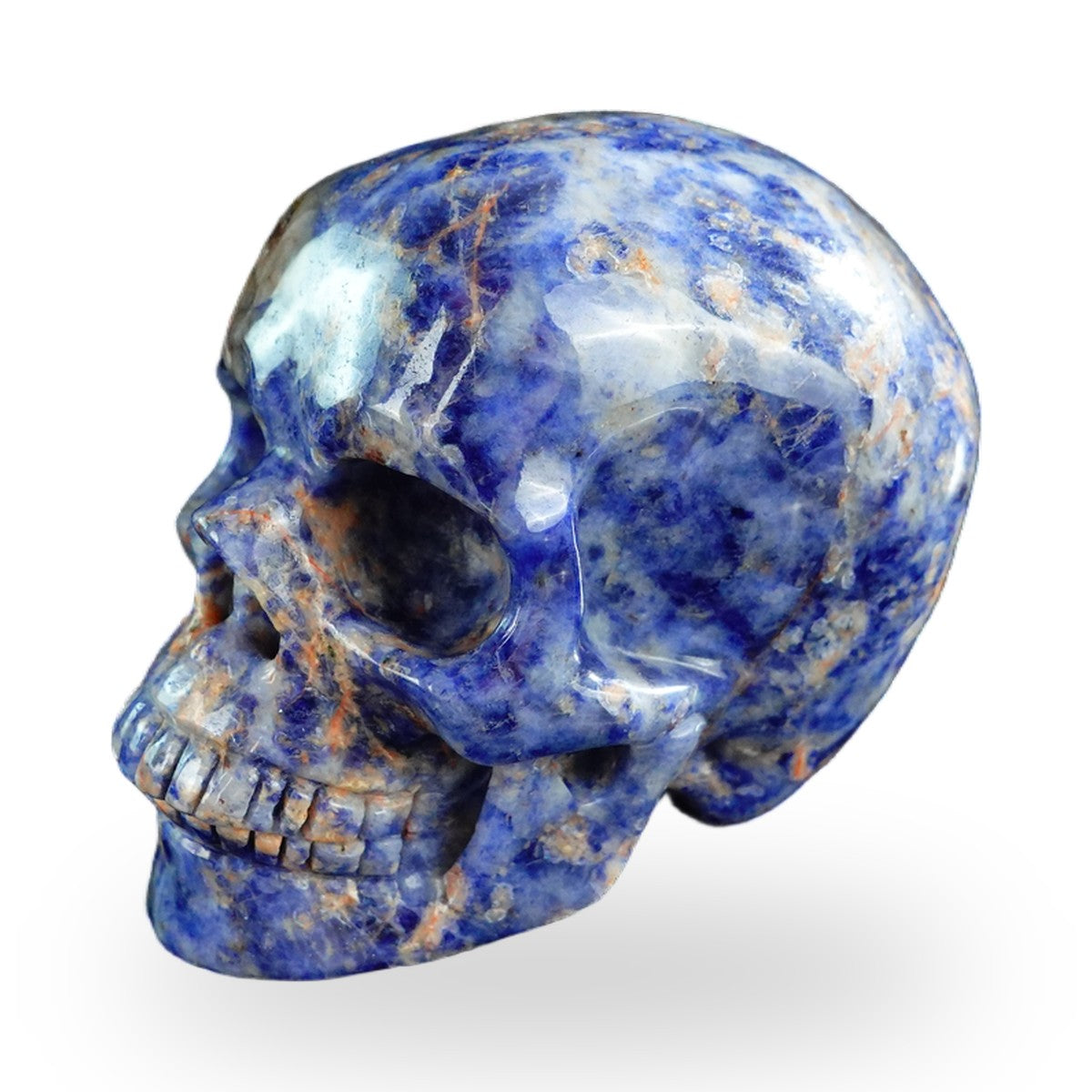 Sodalite crystal skull 3" SKH30SL11 photo 7