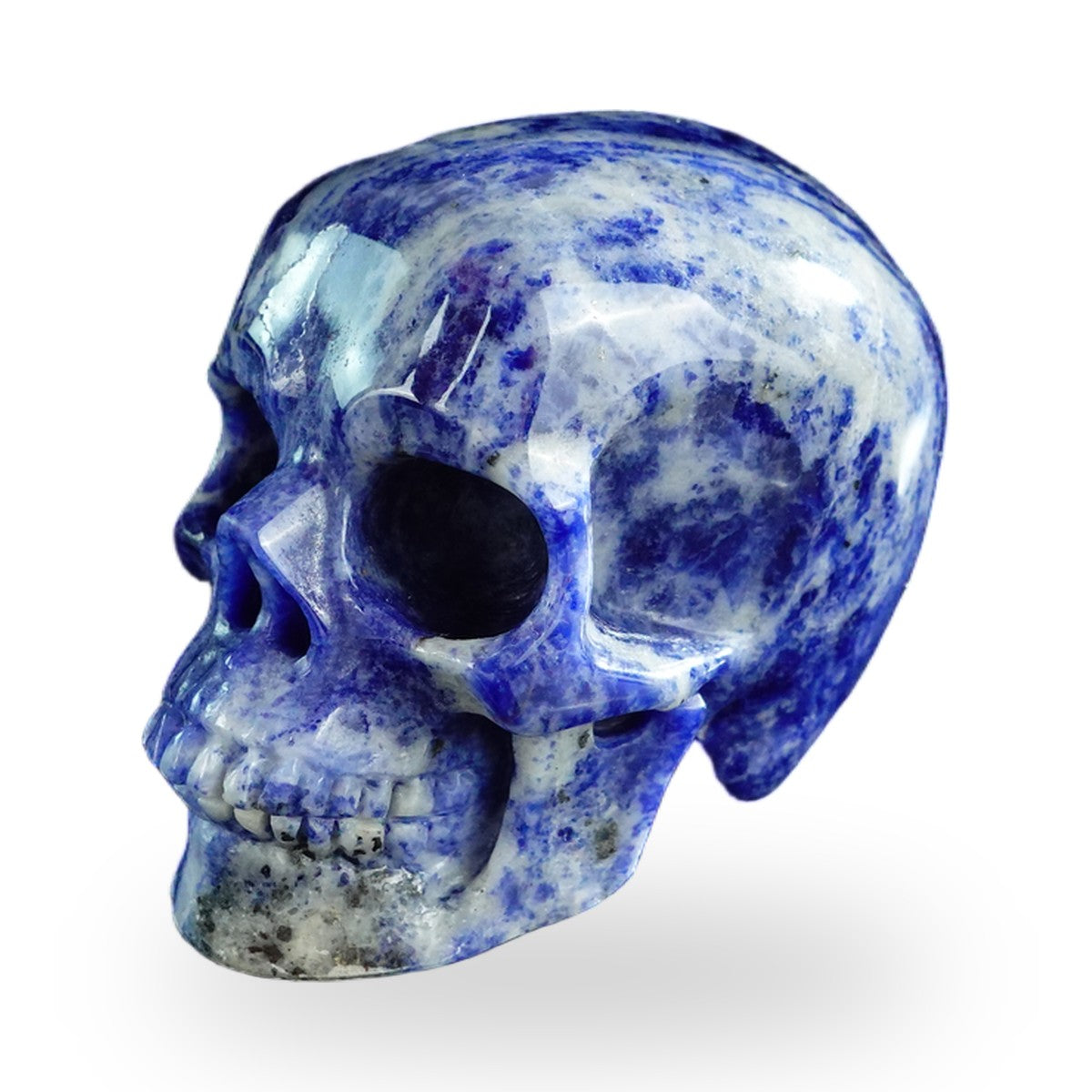 Sodalite crystal skull 3" SKH30SL12 photo 7
