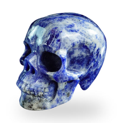 Sodalite crystal skull 3" SKH30SL12 photo 7