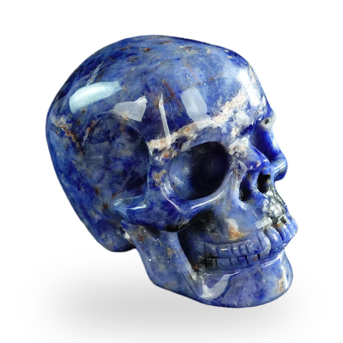 Sodalite crystal skull 3" SKH30SL13 photo 3