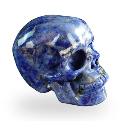 Sodalite crystal skull 3" SKH30SL13 photo 4