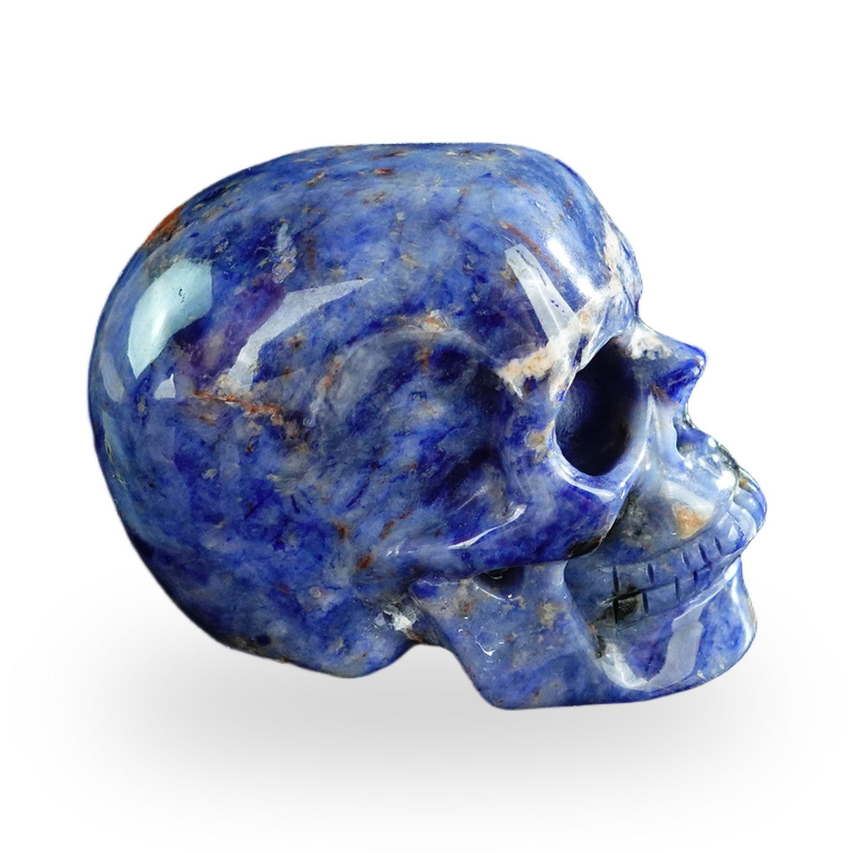 Sodalite crystal skull 3" SKH30SL13 photo 5
