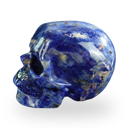 Sodalite crystal skull 3" SKH30SL13 photo 6