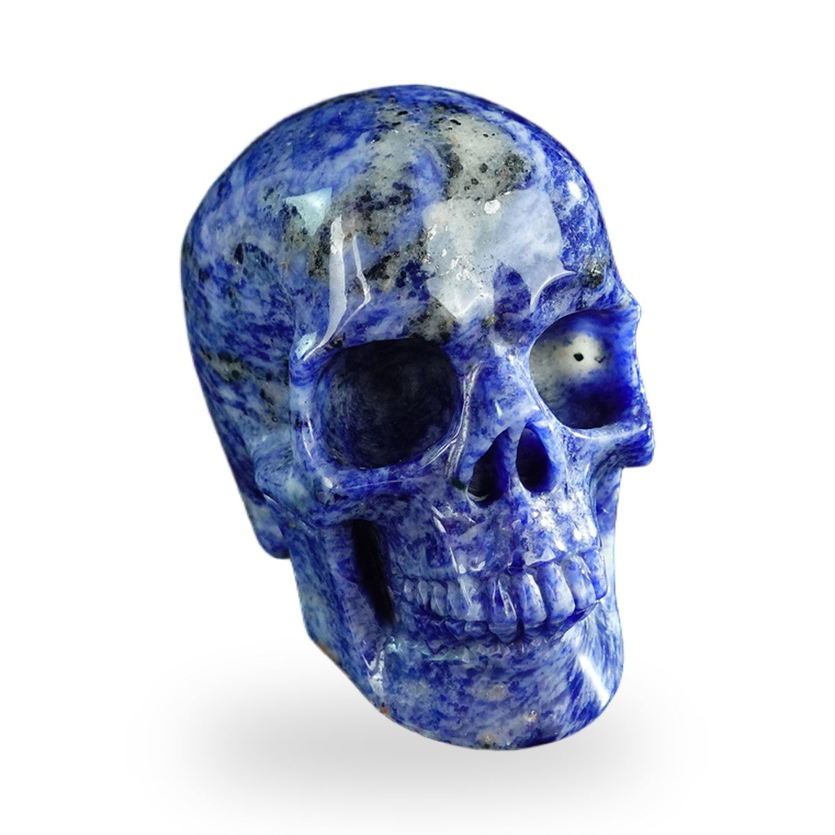 Sodalite crystal skull 3" SKH30SL14 photo 3