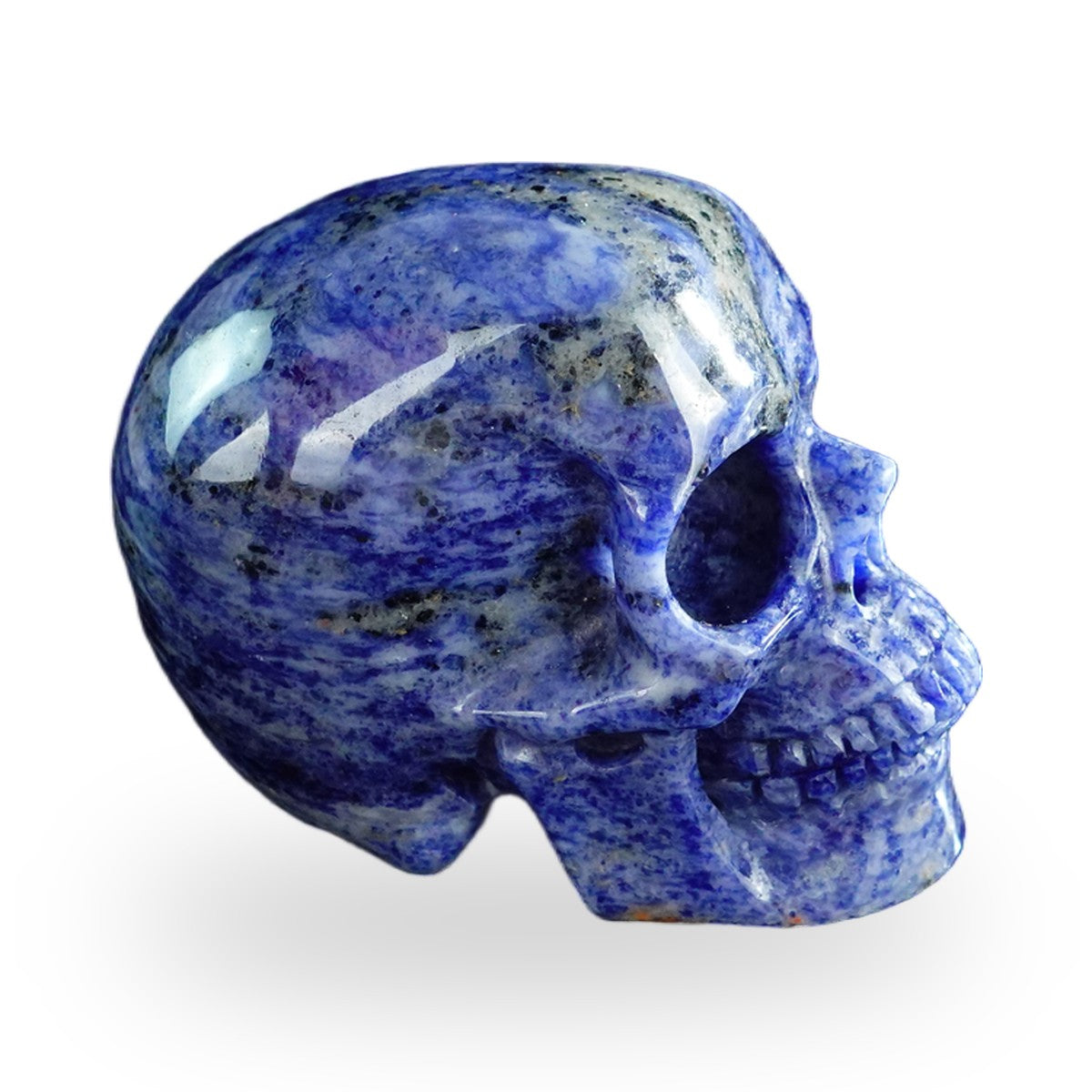 Sodalite crystal skull 3" SKH30SL14 photo 6