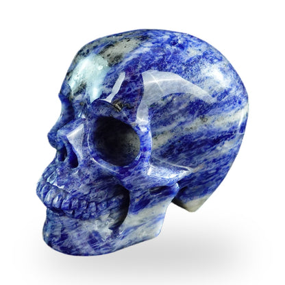 Sodalite crystal skull 3" SKH30SL14 photo 8