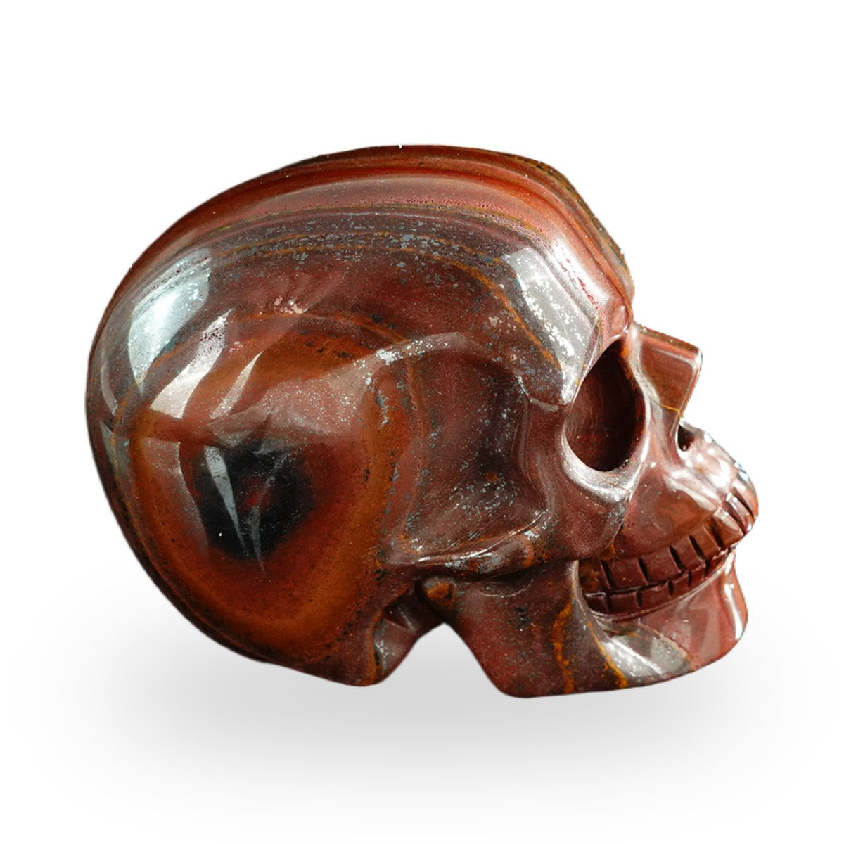 Tiger Iron crystal skull 3" SKH30TI08 photo 5