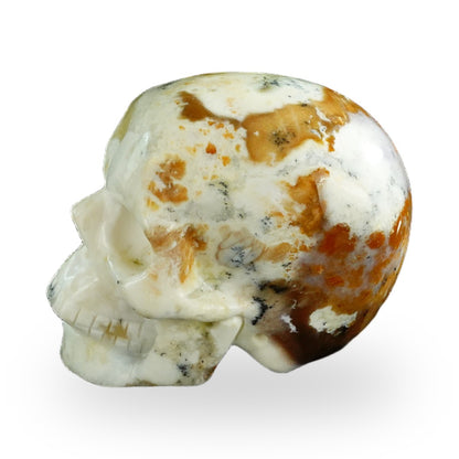 White Opal crystal skull 3" SKH30WO04 photo 6