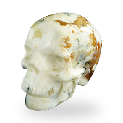 White Opal crystal skull 3" SKH30WO04 photo 8