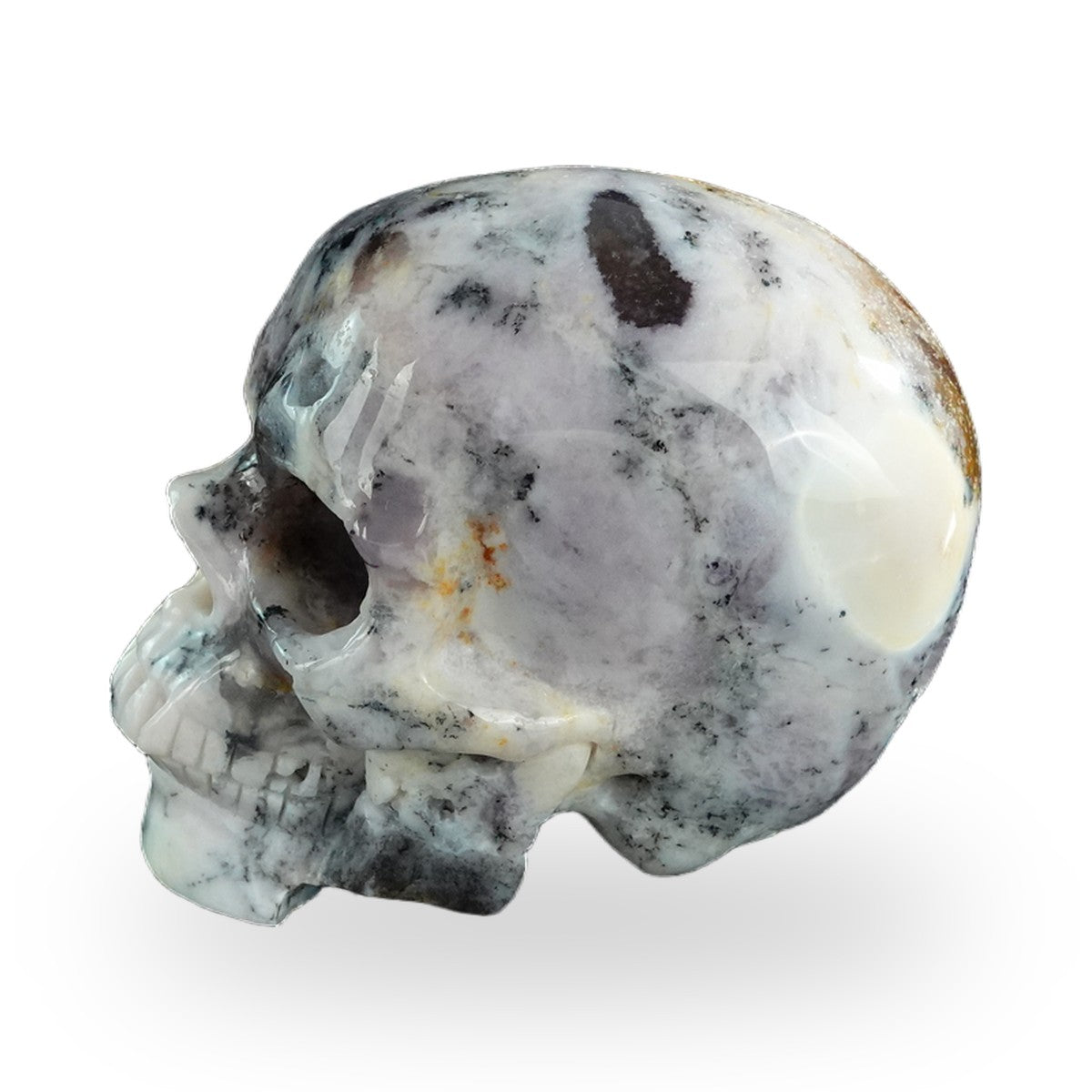 Why We Carve Skulls