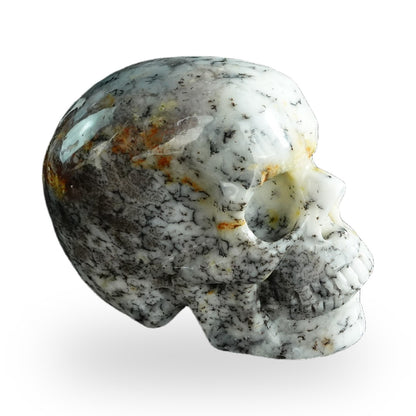 White Opal crystal skull 3" SKH30WO07 photo 5