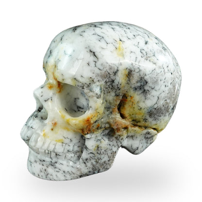 White Opal crystal skull 3" SKH30WO07 photo 8