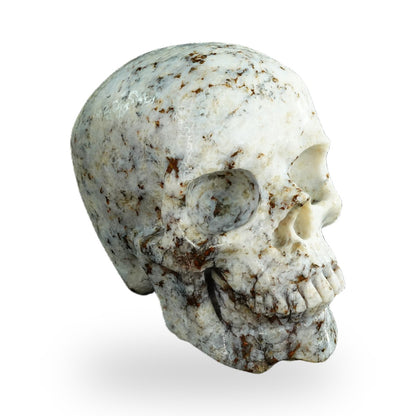 White Opal crystal skull 4.5" SKH45WO02 photo 2