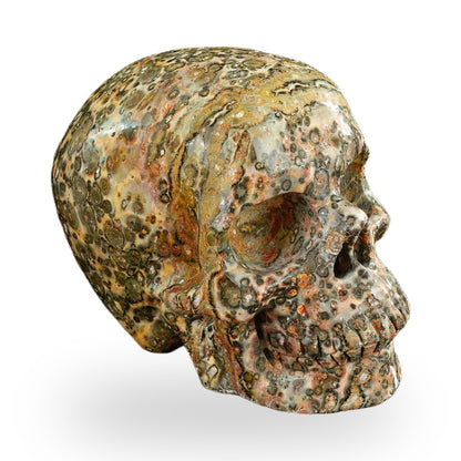 Yellow Leopard Skin Jasper crystal skull 4.5" SKH45LS02 photo 3