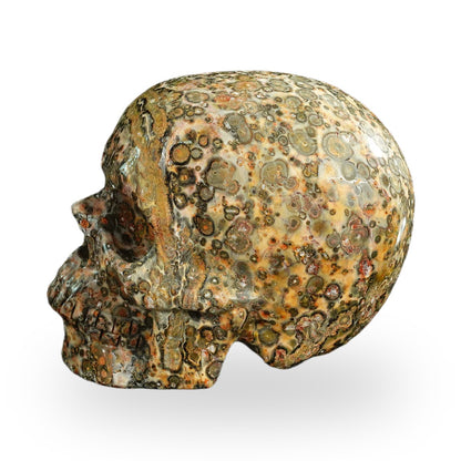 Yellow Leopard Skin Jasper crystal skull 4.5" SKH45LS02 photo 5