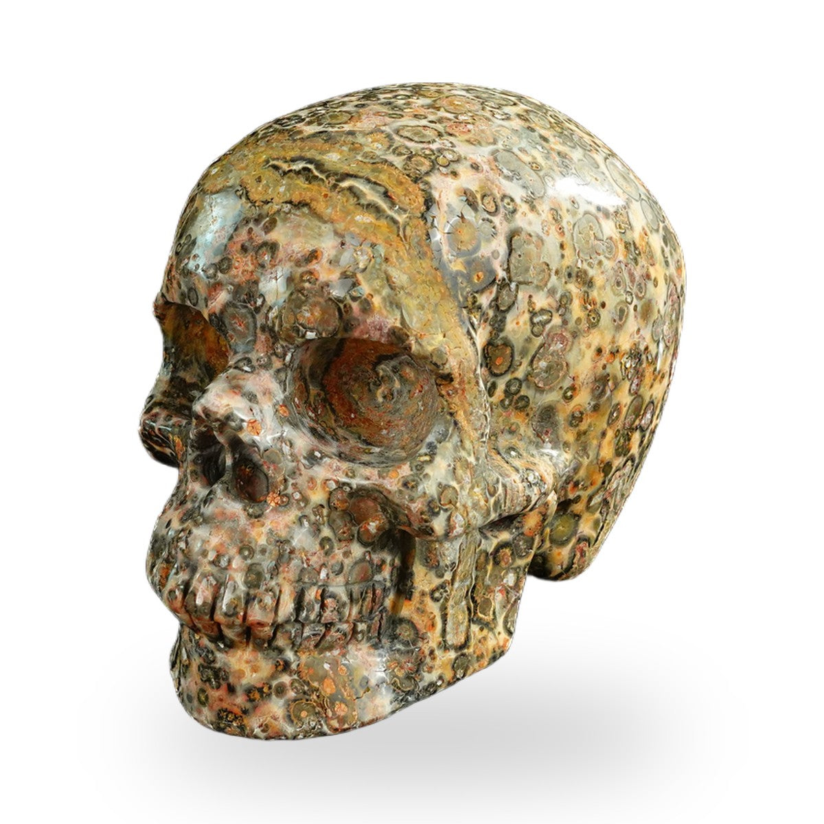 Yellow Leopard Skin Jasper crystal skull 4.5" SKH45LS02 photo 6